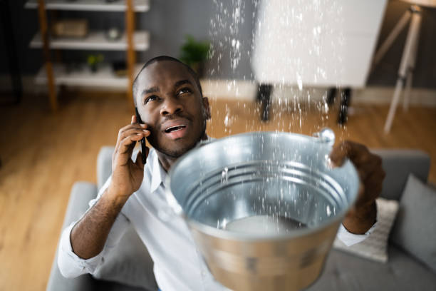 Best Local water damage restoration  in Goldenrod, FL