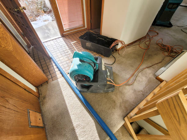 Best Water damage cleanup near me  in Goldenrod, FL
