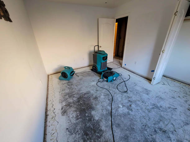 Best Water damage cleanup near me  in Goldenrod, FL