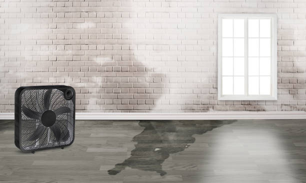  Goldenrod, FL Water damage restoration Pros