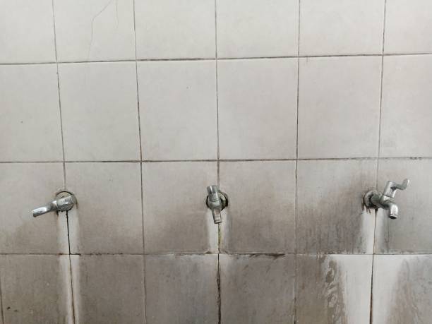 Best Water damage cleanup near me  in Goldenrod, FL