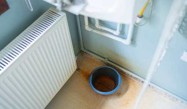 Best Water damage contractors near me  in Goldenrod, FL