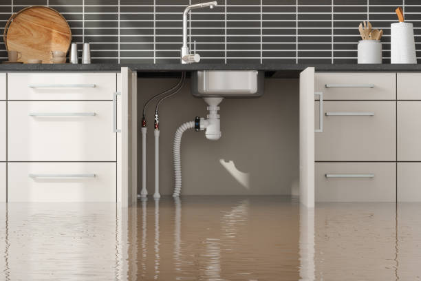 Best 24/7 water damage repair  in Goldenrod, FL