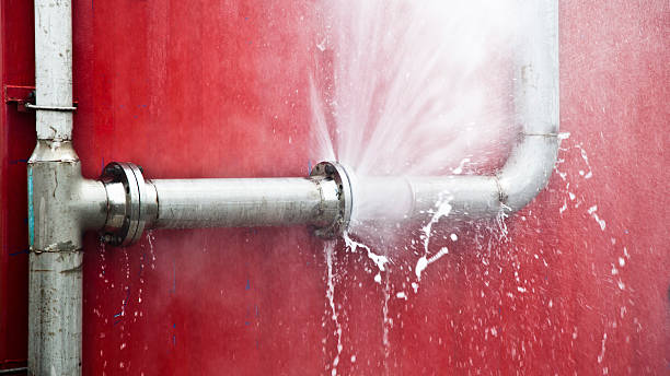Best Commercial water damage restoration  in Goldenrod, FL